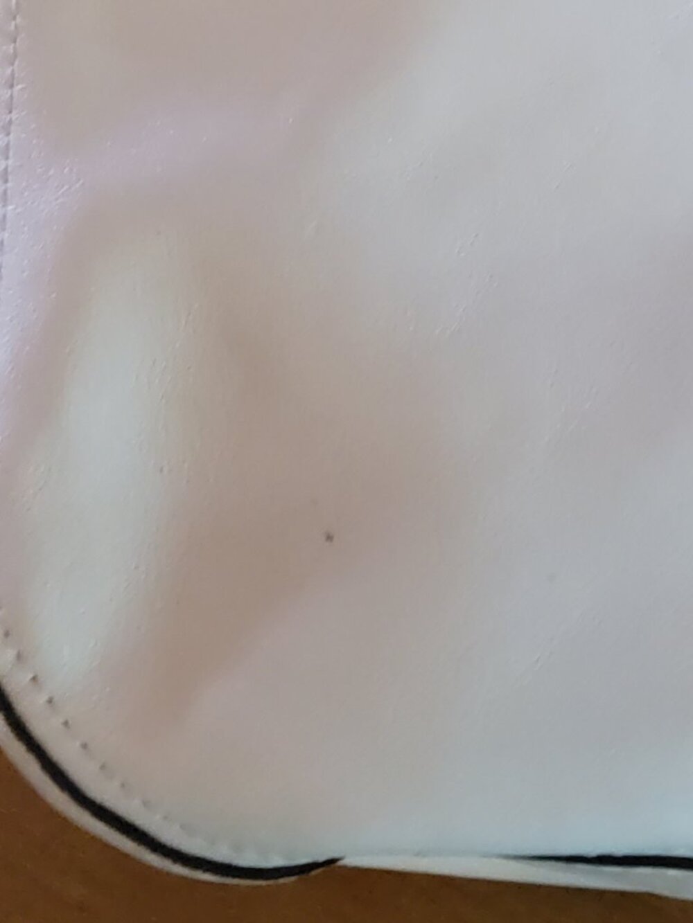 Coach 70th Anniversary Edition Willis Crossbody 19132 in Ivory - Picture 8 of 13